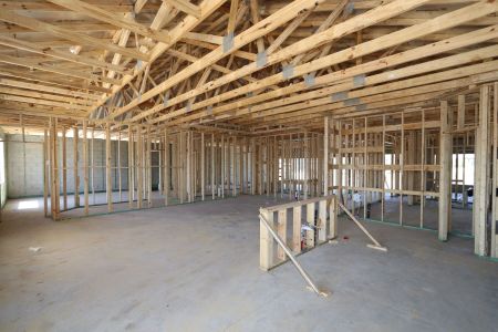 New construction Single-Family house 32568 Sapna Chime Drive, Wesley Chapel, FL 33545 Barcello- photo 19 19
