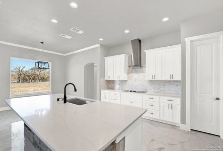 New construction Single-Family house 105 Hondo Ridge, La Vernia, TX 78121 - photo 8 8