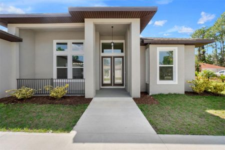 New construction Single-Family house 11 Washton Place, Palm Coast, FL 32164 - photo