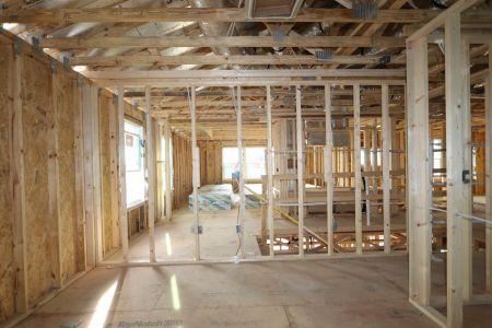 New construction Single-Family house 12114 Hilltop Farms Drive, Dade City, FL 33525 Alenza- photo 92 92
