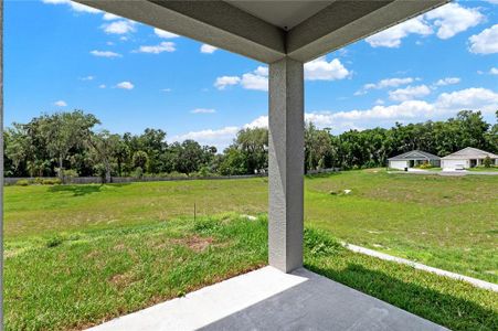 New construction Single-Family house 512 Ellie Court, Apopka, FL 32703 - photo 30 30