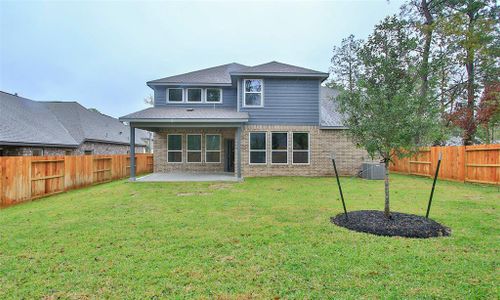 New construction Single-Family house 231 Butterfly Orchid Court, Willis, TX 77318 Premier Series - Hickory- photo 45 45
