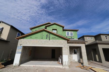 New construction Single-Family house 5254 Currant Street, Lakeland, FL 33811 Marina- photo 50 50