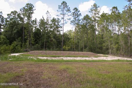 New construction Single-Family house 4350 Theresa Street, Hastings, FL 32145 - photo 58 58