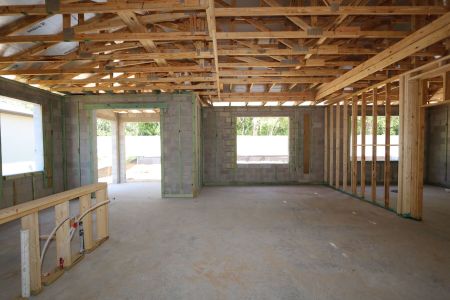 New construction Single-Family house 12032 Hilltop Farms Drive, Dade City, FL 33525 Marque- photo 19 19