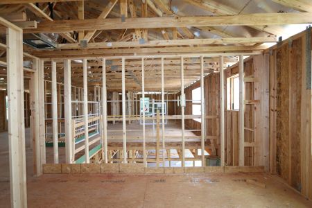 New construction Single-Family house 9611 Crescent Ray Drive, Wesley Chapel, FL 33545 Dali- photo 45 45