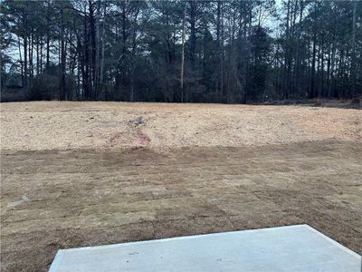 New construction Single-Family house 4031 Lake Carlton Road S, Loganville, GA 30052 - photo 13 13