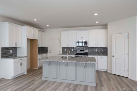 New construction Single-Family house 1889 Water Birch Way, Castle Rock, CO 80108 - photo 7 7