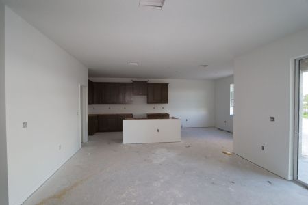 New construction Single-Family house 5238 Currant Street, Lakeland, FL 33811 Marina- photo 48 48