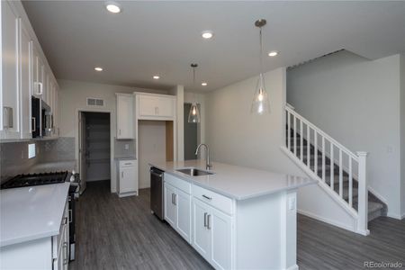 New construction Single-Family house 1787 Water Birch Way, Castle Rock, CO 80108 - photo 8 8