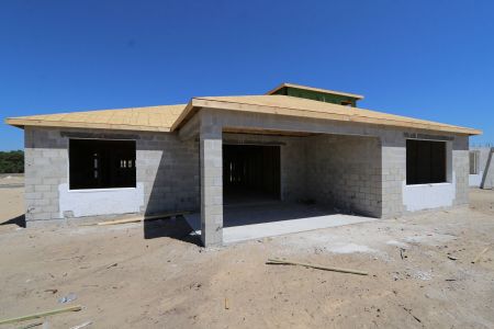 New construction Single-Family house 2466 Clary Sage Drive, Spring Hill, FL 34609 Corina  III Bonus- photo 14 14