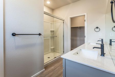 New construction Condo/Apt house 2908 Conquest Street, Fort Collins, CO 80524 - photo 21 21
