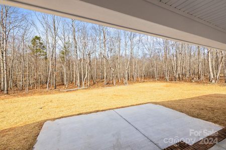 New construction Single-Family house 935 Sellerstown Road, Cherryville, NC 28021 - photo 3 3