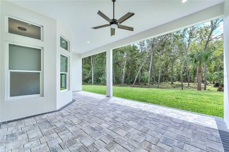 New construction Single-Family house 8480 Fox Trail, Kissimmee, FL 34747 - photo 53 53