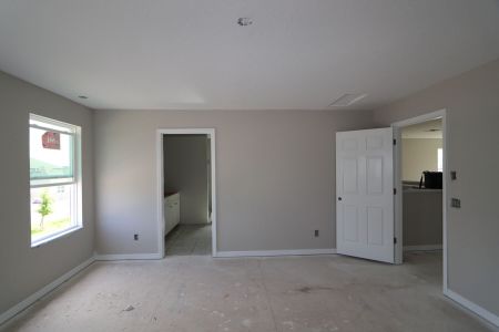 New construction Single-Family house 9358 Crescent Ray Drive, Wesley Chapel, FL 33545 Renau- photo 63 63