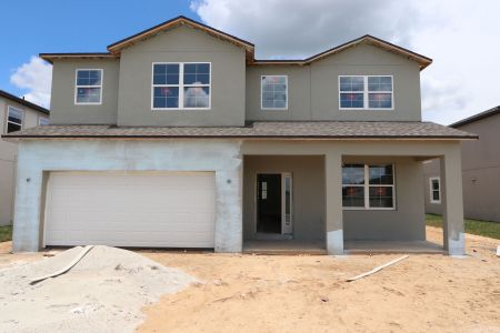 New construction Single-Family house 38433 Pindos Drive, Dade City, FL 33525 Mira Lago- photo 22 22