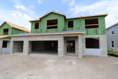 New construction Single-Family house 9635 Crescent Ray Drive, Wesley Chapel, FL 33545 Mira Lago- photo 12 12