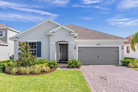 New construction Single-Family house 30025 Island Club Dr, Tavares, FL 32778 - photo 0