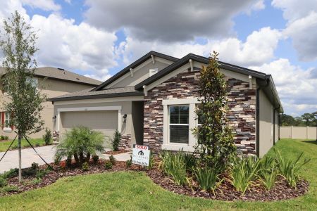 New construction Single-Family house 837 Hillshire Place, Spring Hill, FL 34609 Marque- photo 11 11