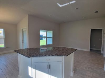 New construction Single-Family house 36165 Ogden Glade Road, Dade City, FL 33525 1512- photo 16 16