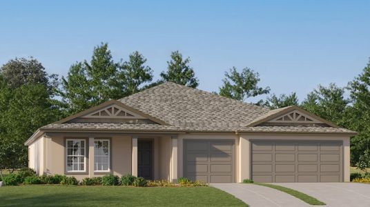 New construction Single-Family house Phoenix, 4970 Eagle Rock Dr, Wimauma, FL 33598 - photo