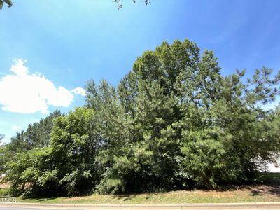 New construction Single-Family house 154 Colonial Trail Court, Pittsboro, NC 27312 - photo 2 2