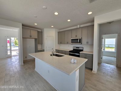 New construction Single-Family house 151 Whirlwind Place, Unit 242, Saint Augustine, FL 32095 - photo 3 3