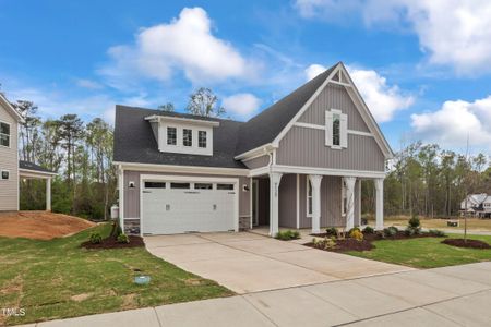 New construction Single-Family house 9125 Dupree Meadow Drive, Unit 40, Angier, NC 27501 - photo 3 3