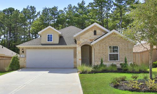 New construction Single-Family house River Ranch, Dayton, TX 77535 - photo 2 2