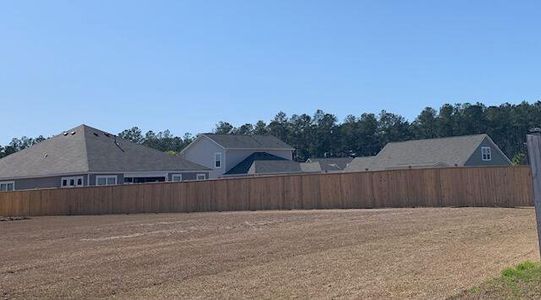 New construction Single-Family house 104 Wild Orchid Way, Huger, SC 29450 - photo 8 8