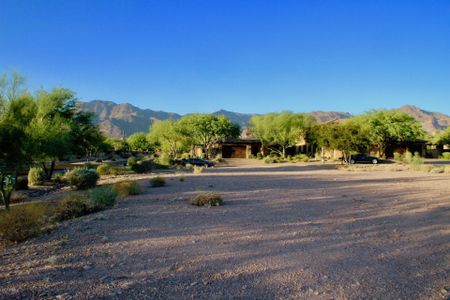 New construction Single-Family house 3149 S Prospector Circle, Gold Canyon, AZ 85118 - photo 21 21