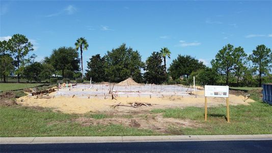 New construction Single-Family house 163 Blazing Star Avenue, Lake Alfred, FL 33850 - photo 33 33