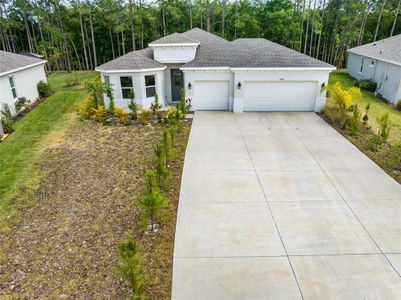 New construction Single-Family house 2909 Gator Crossing Place, New Port Richey, FL 34655 - photo 17 17