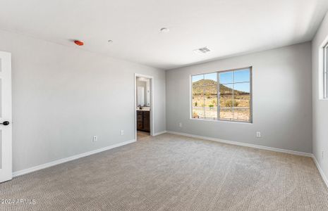 New construction Single-Family house 13526 W Cassia Trail, Peoria, AZ 85383 - photo 20 20