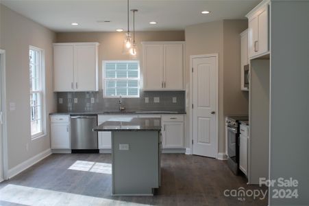New construction Single-Family house 5776 Stanfield Valley Trail, Stanfield, NC 28163 - photo 3 3