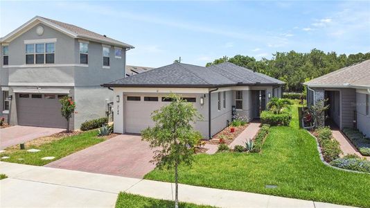 New construction Single-Family house 3149 Songbird Circle, Saint Cloud, FL 34773 - photo 35 35