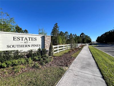 New construction Single-Family house 500 Pine Tree Bridge Trail, Saint Cloud, FL 34772 Magnolia- photo 13 13