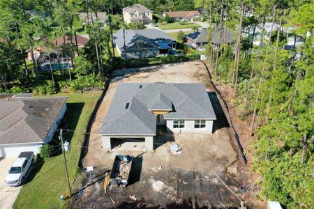 New construction Single-Family house 39 Boxwood Lane, Palm Coast, FL 32137 Heron- photo 26 26