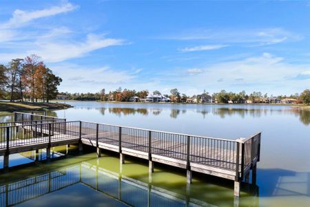 New construction Single-Family house 6219 E Balsam Fir Circle, Spring, TX 77386 - photo 39 39