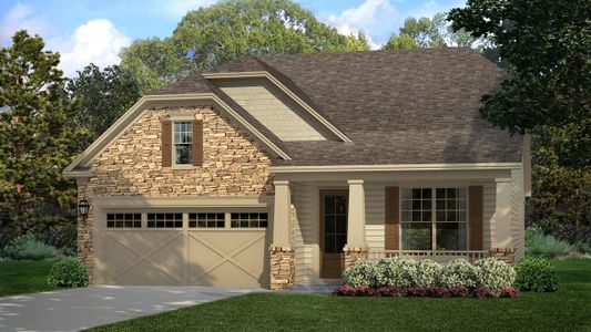 New construction Single-Family house Cypress, 8913 Silver Springs Court, Charlotte, NC 28215 - photo