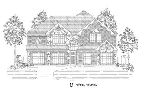 New construction Single-Family house 1700 Canals Drive, Little Elm, TX 75068 - photo 13 13