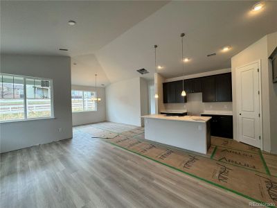 New construction Single-Family house 2358 Drummle Drive, Castle Rock, CO 80104 Breckenridge- photo