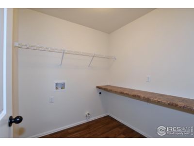 New construction Single-Family house 2302 Graceful St, Windsor, CO 80550 The California- photo 36 36
