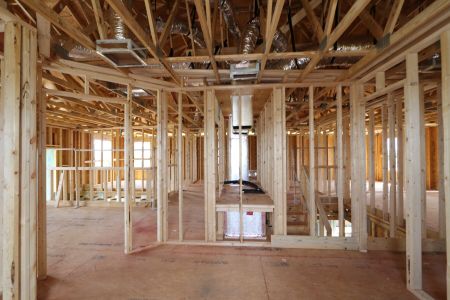 New construction Single-Family house 12383 Hilltop Farms Drive, Dade City, FL 33525 Malibu- photo 33 33