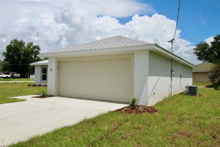 New construction Single-Family house 11 Locust Run Trace, Ocala, FL 34472 - photo 3 3