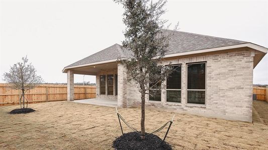 New construction Single-Family house 165 Groundhog Drive, Buda, TX 78610 Design 2373H- photo 11 11