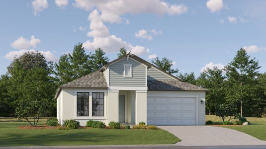 New construction Single-Family house Aspen, 18238 Pearl View Place, Lutz, FL 33548 - photo