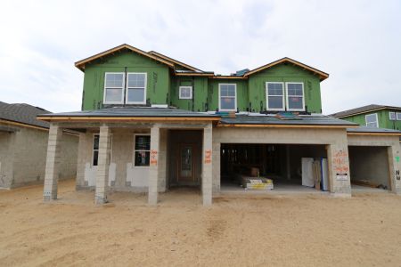 New construction Single-Family house 2486 Clary Sage Drive, Spring Hill, FL 34609 Santa Monica- photo 65 65