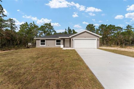 New construction Single-Family house 24053 Nw Tamarind Lane, Dunnellon, FL 34431 - photo 39 39