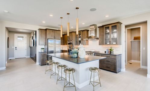 New construction Single-Family house 1590 Candleflower Drive, Castle Pines, CO 80108 - photo 11 11